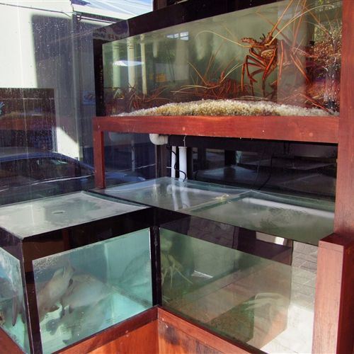 Crayfish tanks