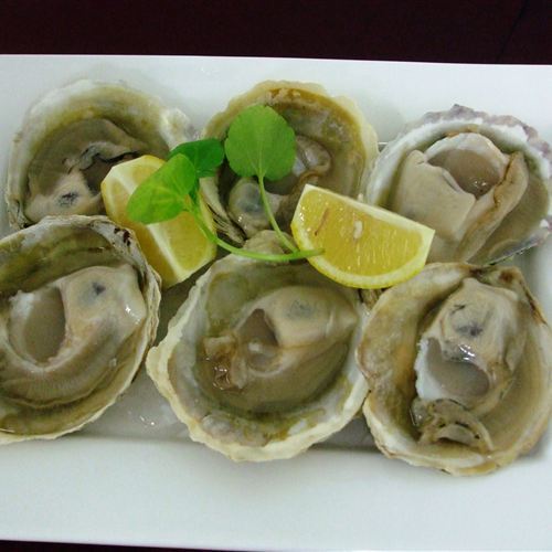 Oysters