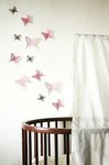 Wall_butterfly_sml