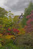 Bodnant Gardens by Henry Florczyk