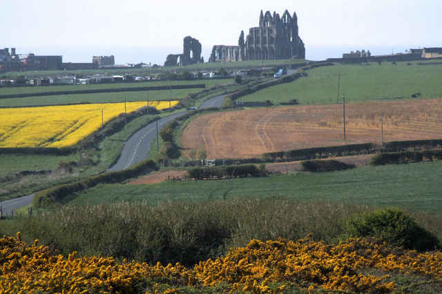 Whitby Abbey