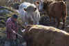 Cowpoke