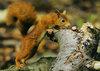Mmm Tempting by Keith Webster