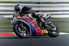 Racing Form by Henry Florczyk
