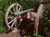 Was It Ever Fired? by Alan Foulkes
