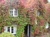 Cottage by James Graham-Smith