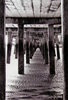 Bridge To Hayling Island by Anne Webb