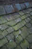Roof Detail by Sue Hartill