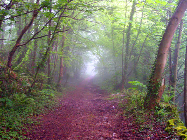 Morning Mist, Abergele