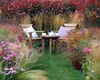 Tea Time, Tatton Park Tea Time, Tatton Park