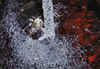 Tap Water Into A Glass Sink by Ken Iles
