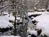 Snow Scene by Nigel Williams