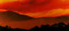 Blazing Dawn by Keith Webster