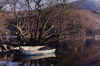 Padarn Lake by Nigel Williams