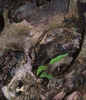 New Life From Old by Sue Hartill