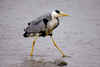 Just Walking In The Rain by Keith Webster