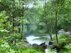 Summer Sun Llyn Elsi by Ken Iles