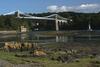 Y Menai by Gwyn Jones