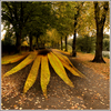 The Day of The Triffids by Alan Foulkes