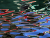 Barge Reflections by Gwyn Jones