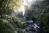 Fairy Glen by Vyner Rimmington