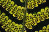 Fern Spores by Gwyn Jones