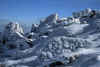 In The Grip of Winter by Sue Hartill