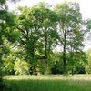 Park and Pigeonier