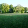 Evening Light in the park, looking towards the House