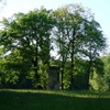Evening Light in the park