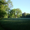 Morning Light over Park