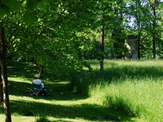 Painting Holiday - painting in park medium