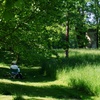 Painting Holiday - painting in park