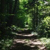 Pathway down to the river