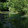 River view