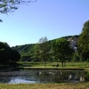 Wander by the river in evening light