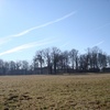 View from park to house
