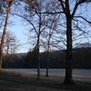Winter dusk in the park