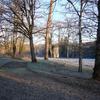 Through the winter trees to the pigeonier