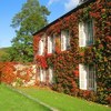 Autumn colours on the house