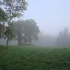 Autumn mist over park