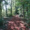 Autumn walk down to the river