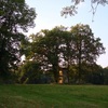 Evening light over park in Autumn