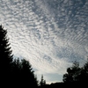 Beautiful Sky