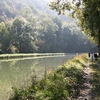 Beautiful walks along canal (2)