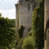 The ruined Chateau du Rochefort