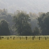 View around Cry