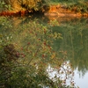 Views down the river
