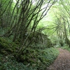 Wonderful walk to ruin chateau