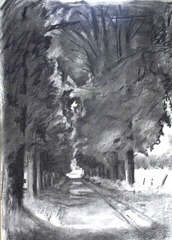 charcoal of avenue by Susanna Lyell medium charcoal of avenue by Susanna Lyell medium